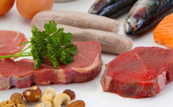 High protein diet to lose