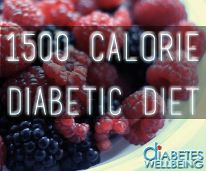 1500 calorie diet plan