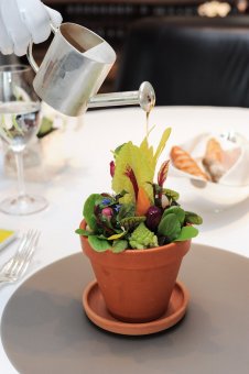 Salad in a pot