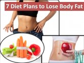 Diet Plans to lose fat
