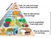 Healthiest diet plan