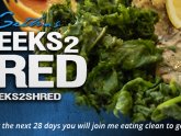 Shred Nutrition