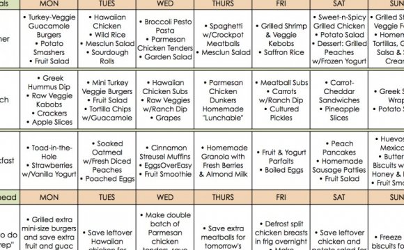 Nutritionist Meal plan