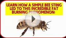 Bees Secret to Lose Weight Fast with E-Factor Diet Plan