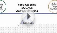 Calorie Restriction Diet Plan Serves As Anti-Aging Diet