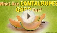 Is Cantaloupe Good for You? | Cantaloupe Nutrition