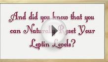 Leptin Diet Plan - Offering Leptin Diet Foods That Will