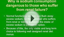 Renal Diet Menus - Limiting Salt and Sodium Intake